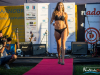 1833img_0511