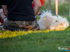1853img_4122