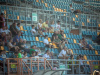1622IMG_7966_wynik