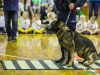 0944img_1539