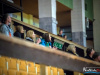 1356IMG_8012_wynik