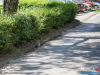 1229img_6366