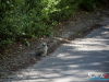 1229img_6367