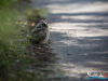 1229img_6371