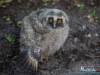 1229img_6375
