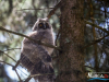 1234img_6393