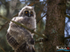 1234img_6394