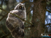 1234img_6396