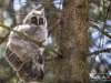 1234img_6402