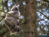 1234img_6411