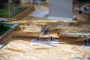 1159IMG_6220