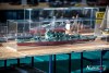 1159IMG_6223