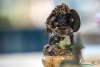 1207IMG_6274