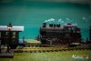 1219IMG_6309