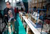 1238IMG_6347