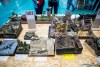 1302IMG_6372