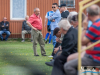 1356img_4002