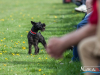1512img_4059
