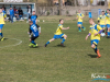 1411img_5546_wynik