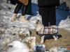 1208IMG_8490_wynik