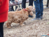 1255img_3088
