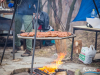 1317img_6633
