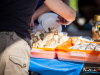 1509img_8088