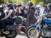1529img_8110