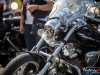 1529img_8112