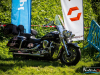 1532img_3954