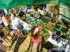 1558img_4064