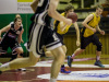 mp_kosz0009