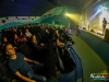 2247img_5964