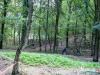 1255img_5753