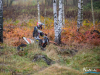 1138img_7608