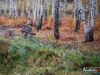 1142img_7655