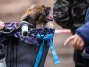 1156img_7713