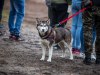 1157img_7722