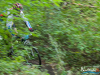 mtb-nowa-deba0054