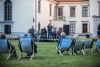 1758IMG_8471
