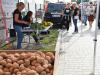 69852982_733632643762094_3426320257852112896_n_wynik