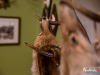 2146img_1461
