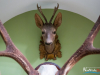 2146img_1462