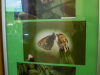 2209img_1562