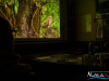2036img_6440