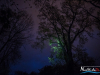 2043img_1246