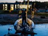 HMIMG_2039