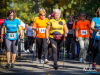 1232img_6387