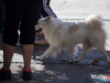 1303img_6474