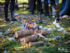 1339img_6511
